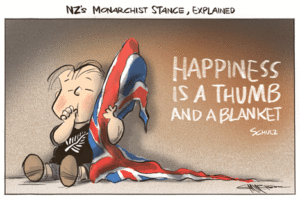 270116NZHcartoonRE