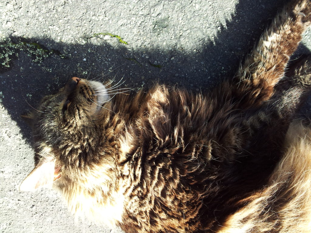 2012-07-17-12-47-12-2