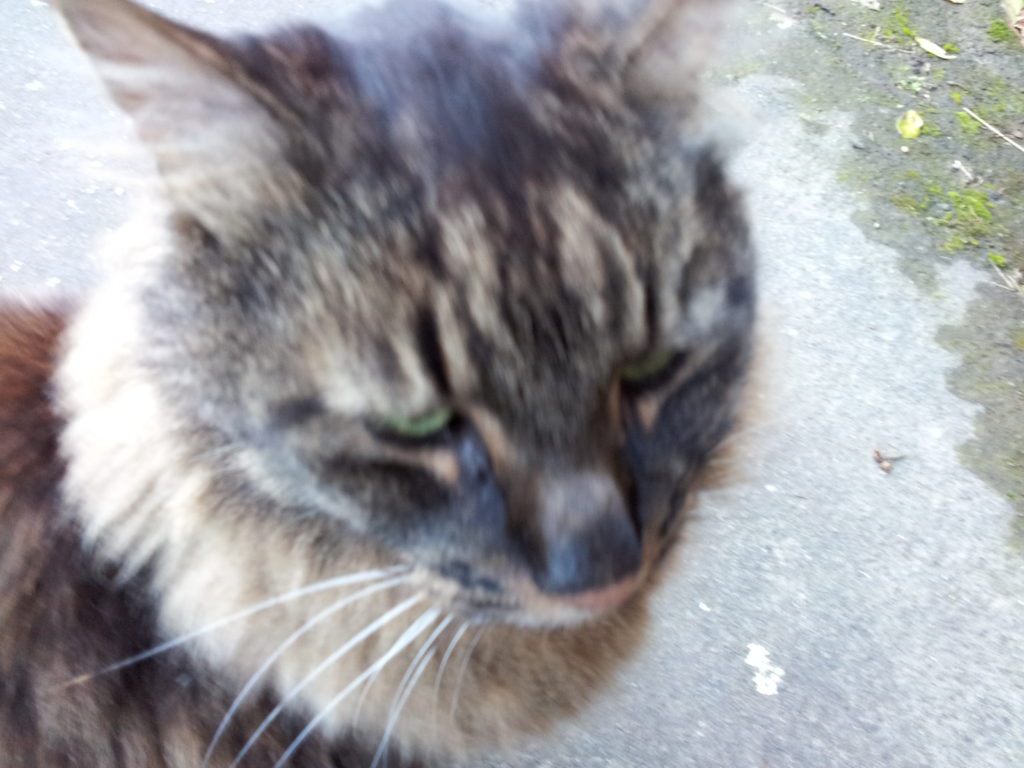 2012-07-17-16-23-16-3