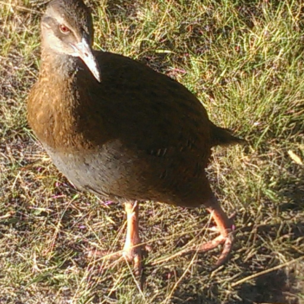 2016-03-06-09-11-03-1